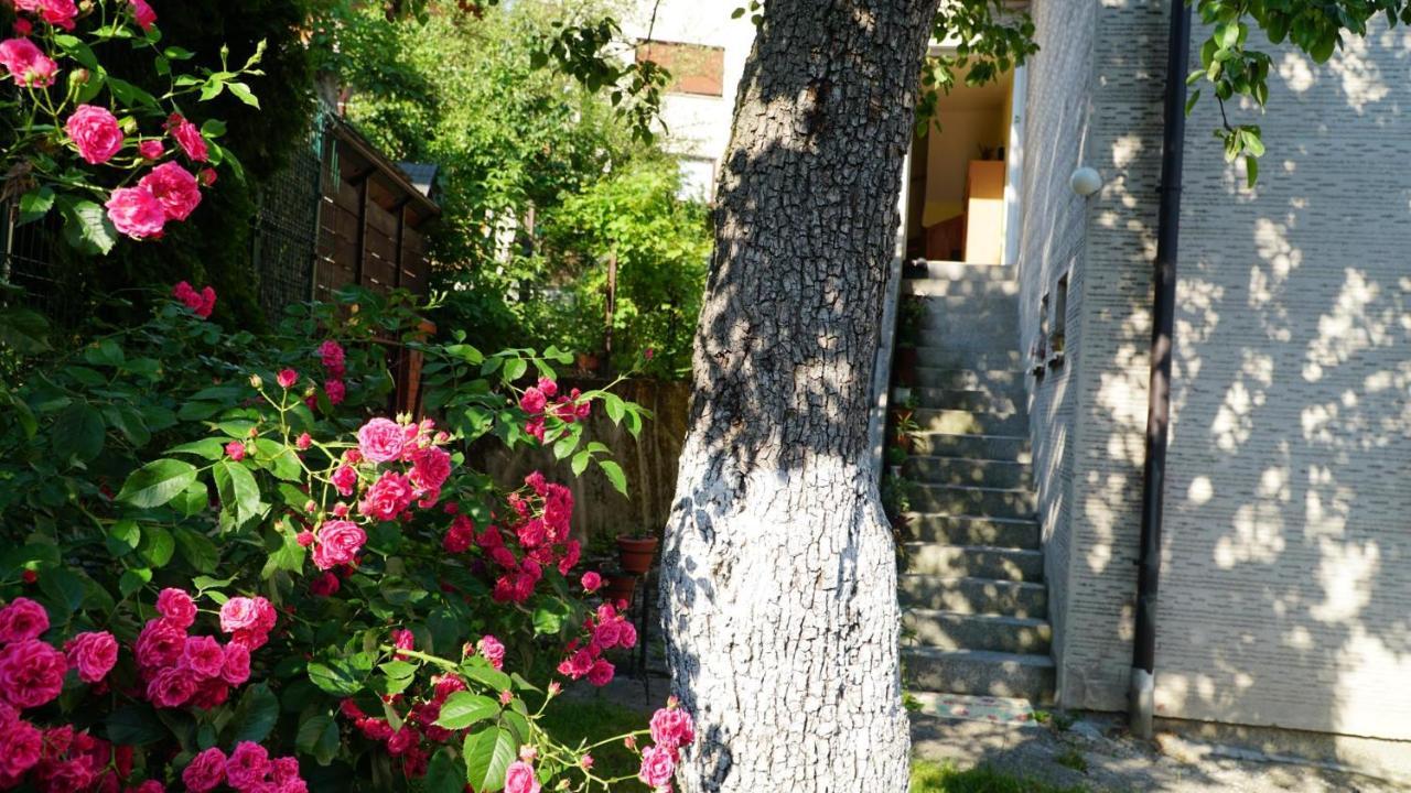 Hedgehog'S Home - Jezeva Kucica Free Parking Sarajevo Exterior photo