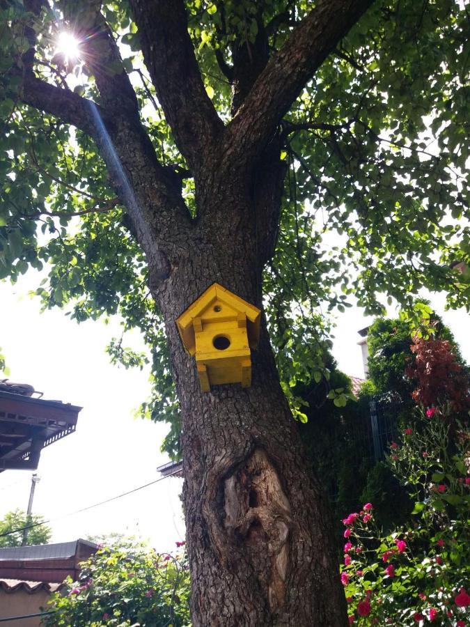 Hedgehog'S Home - Jezeva Kucica Free Parking Sarajevo Exterior photo